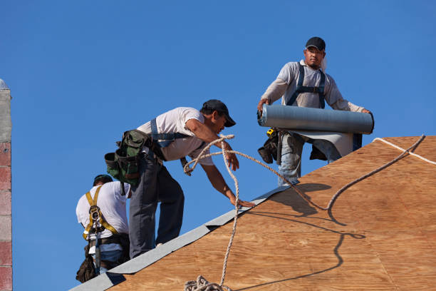 Best Roof Repair Services  in North Bend, OH